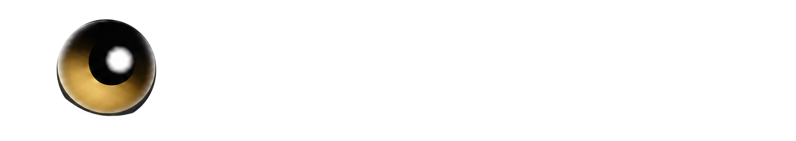 Flash Voyance